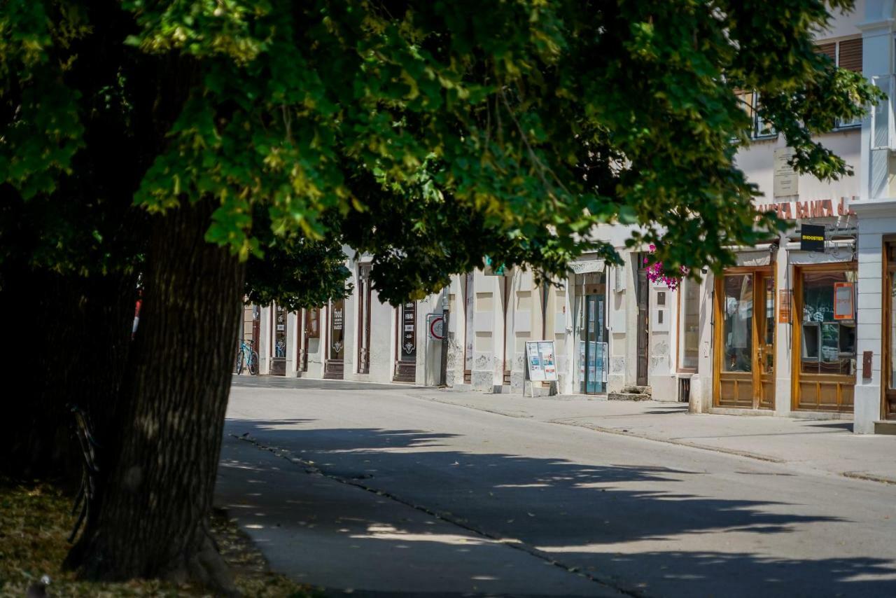 Apartment Happy Day Varaždin エクステリア 写真
